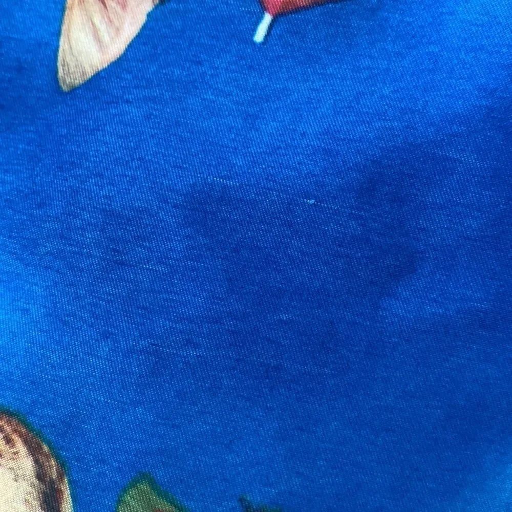 Bioworld Cat Pineapple Drink Swim Trunks Sz M